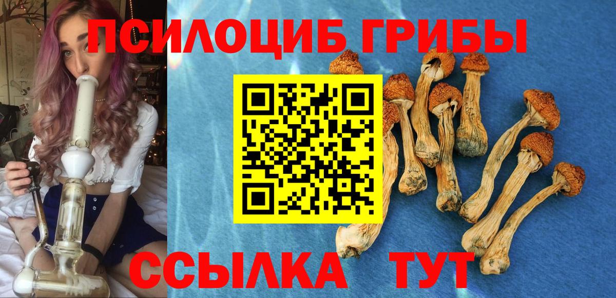 Псилоцибиновые грибы прущие грибы  Галлюциногенные грибы Psilocybe  Вход с VPN  Калуга 