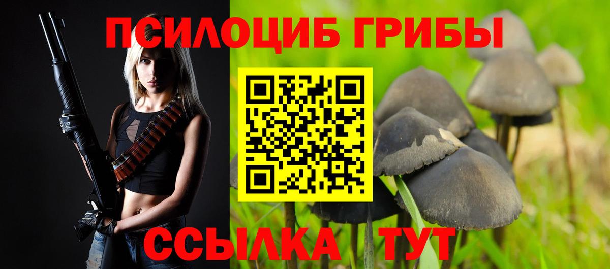 Псилоцибиновые грибы Psilocybine cubensis Калуга